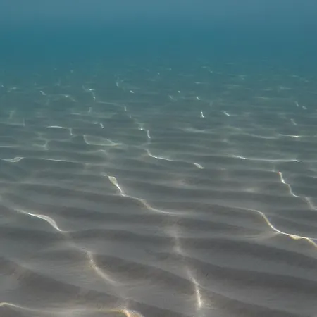 Apartament Blue Diamond Chrani