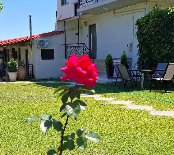 Blue Diamond * Chrani